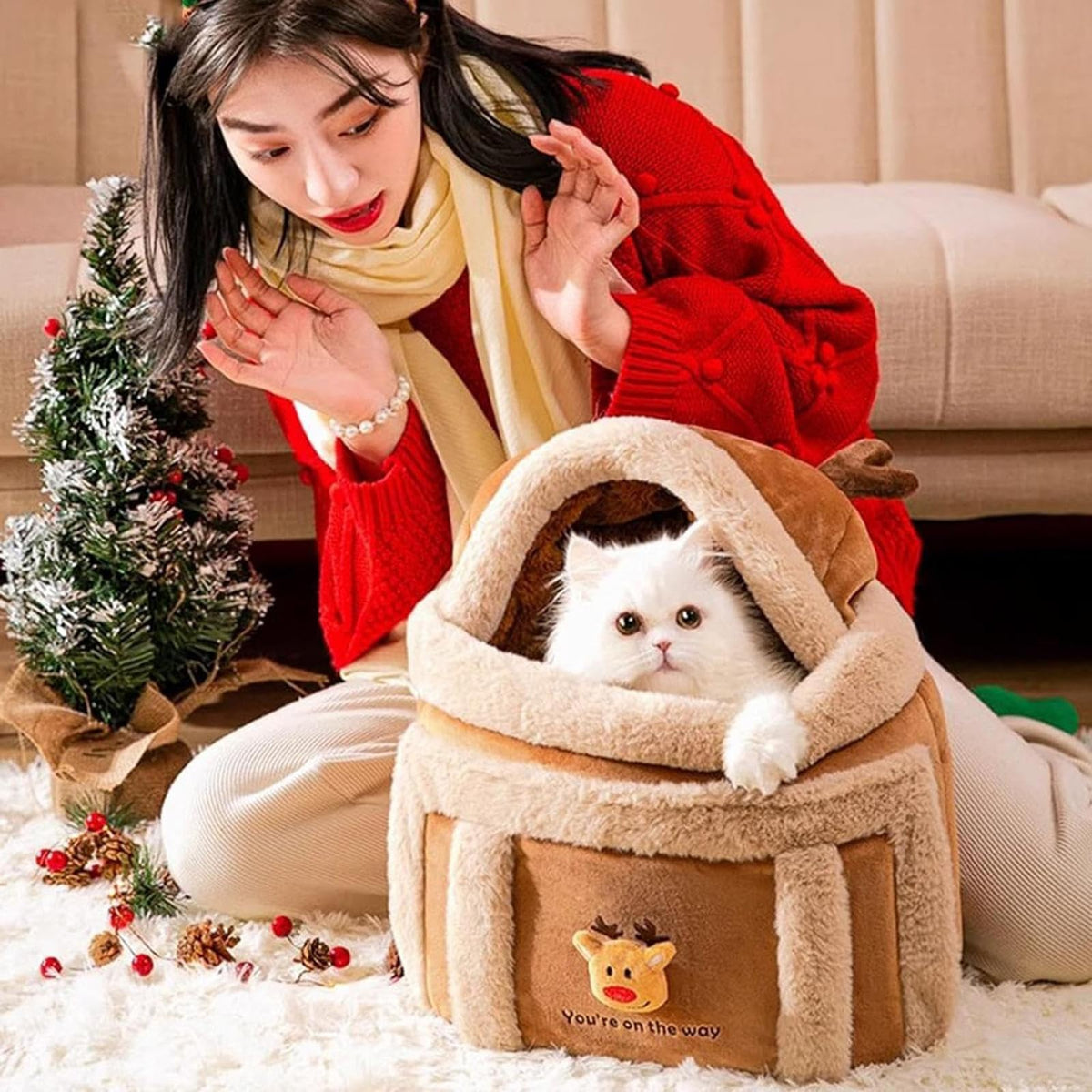 Winter Pet Carrier Backpack with Plush Lining & Reindeer Hood