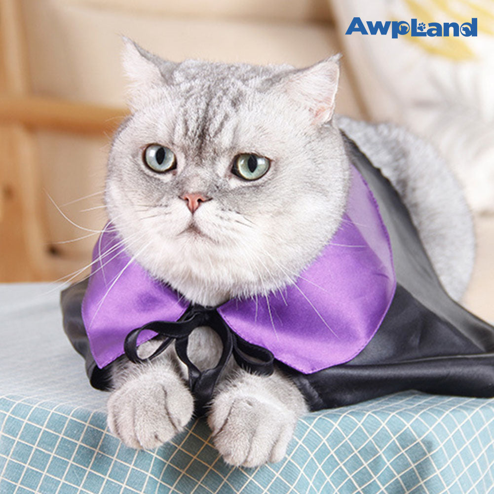 Disfraz de mago de gato para Halloween, para perros pequeños, medianos y grandes, disfraces de cosplay, decoraciones para fiestas