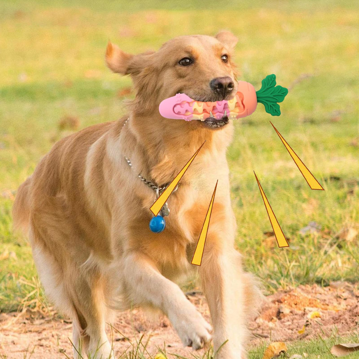 Carrot Squeaky Chew Toy for Dogs – Treat Dispensing Dental Toy for Small & Medium Dogs