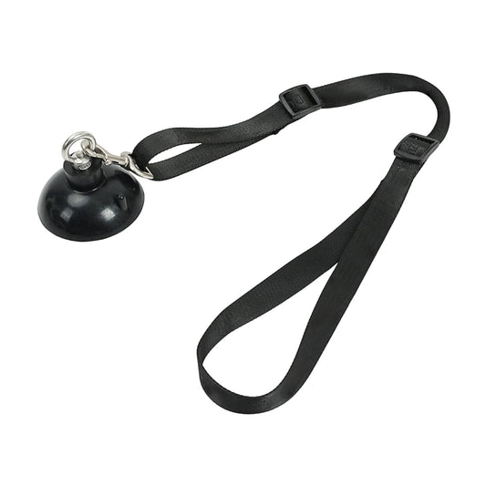 Dog Bathing Tether with Suction Cup