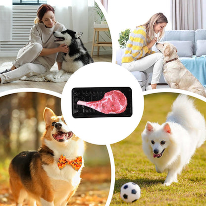 Steak-Shaped Squeaky Dog Toy