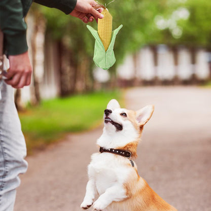 Corn Shaped Squeaky Dog Toy