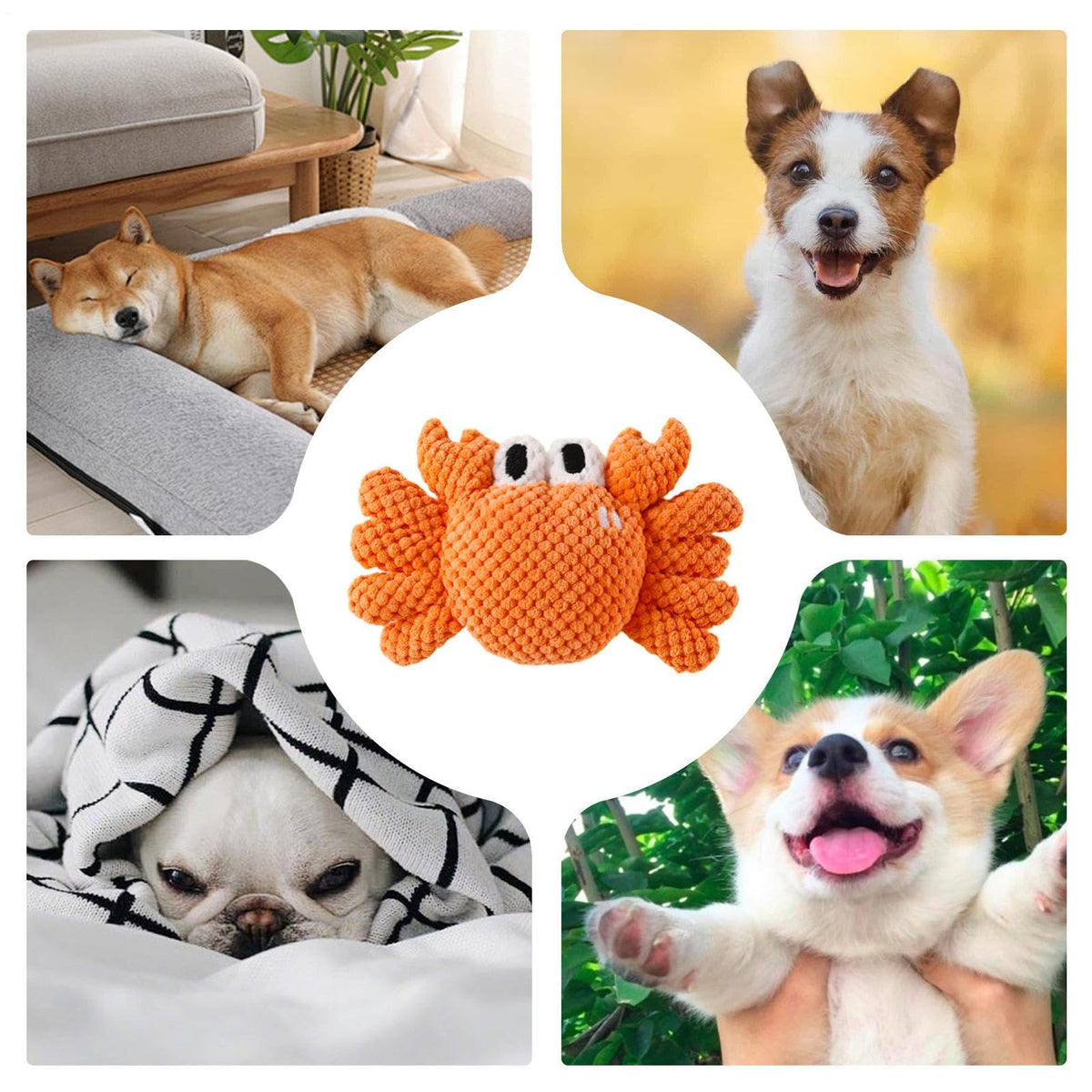 Crab Dog Squeaky Chew Toy for Playtime & Pet Enrichment
