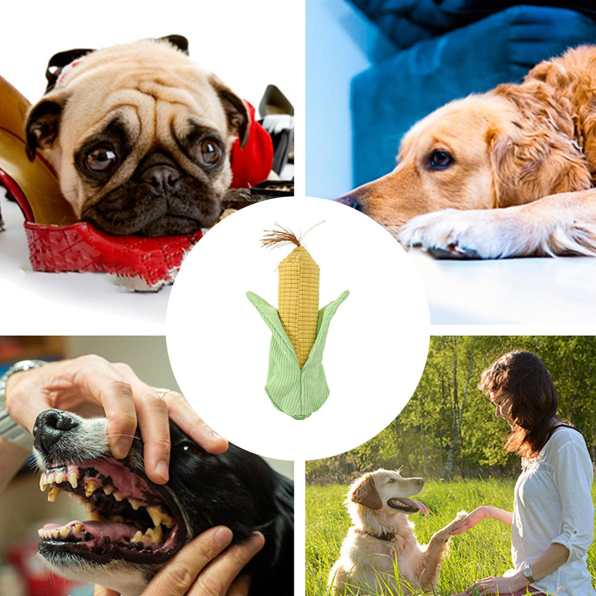 Corn Shaped Squeaky Dog Toy