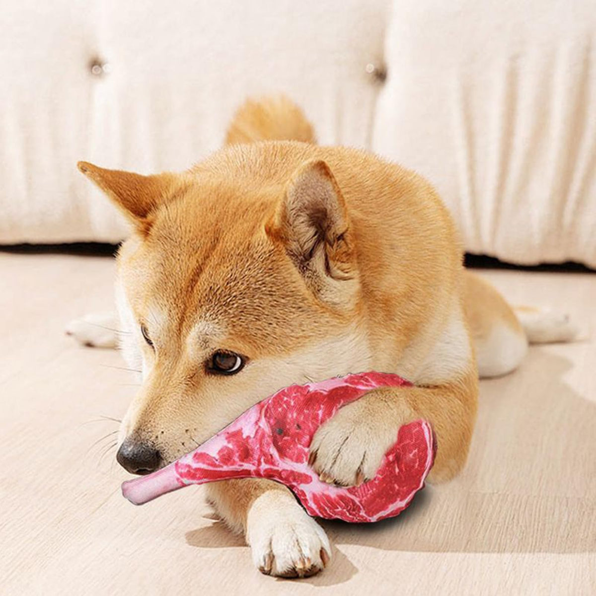 Steak-Shaped Squeaky Dog Toy