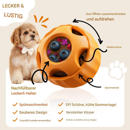 Frozen Treat Enrichment Dog Toy Set
