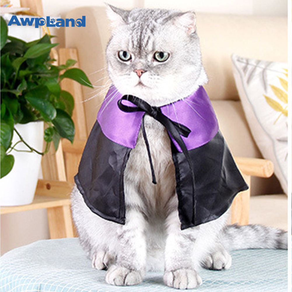 Disfraz de mago de gato para Halloween, para perros pequeños, medianos y grandes, disfraces de cosplay, decoraciones para fiestas 