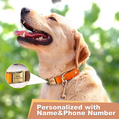 Personalized Dog Collars, Tactical Dog Collar Adjustable Nylon Dog Collar Heavy Duty Metal Buckle for Dog Training and Walking