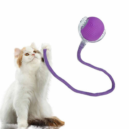 2024 Upgraded Motion Activate Rolling Pet Toys with Long Tail for Cats Kitty Dogs Rabbits