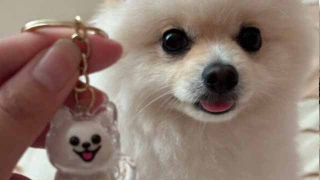Fur keepsake keychain