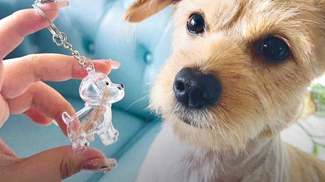 Fur keepsake keychain