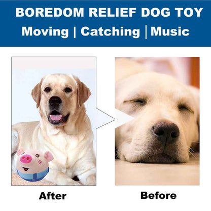 Active Moving Pet Plush Toy with Pop Songs& Recording Mode to Keep Dogs Busy