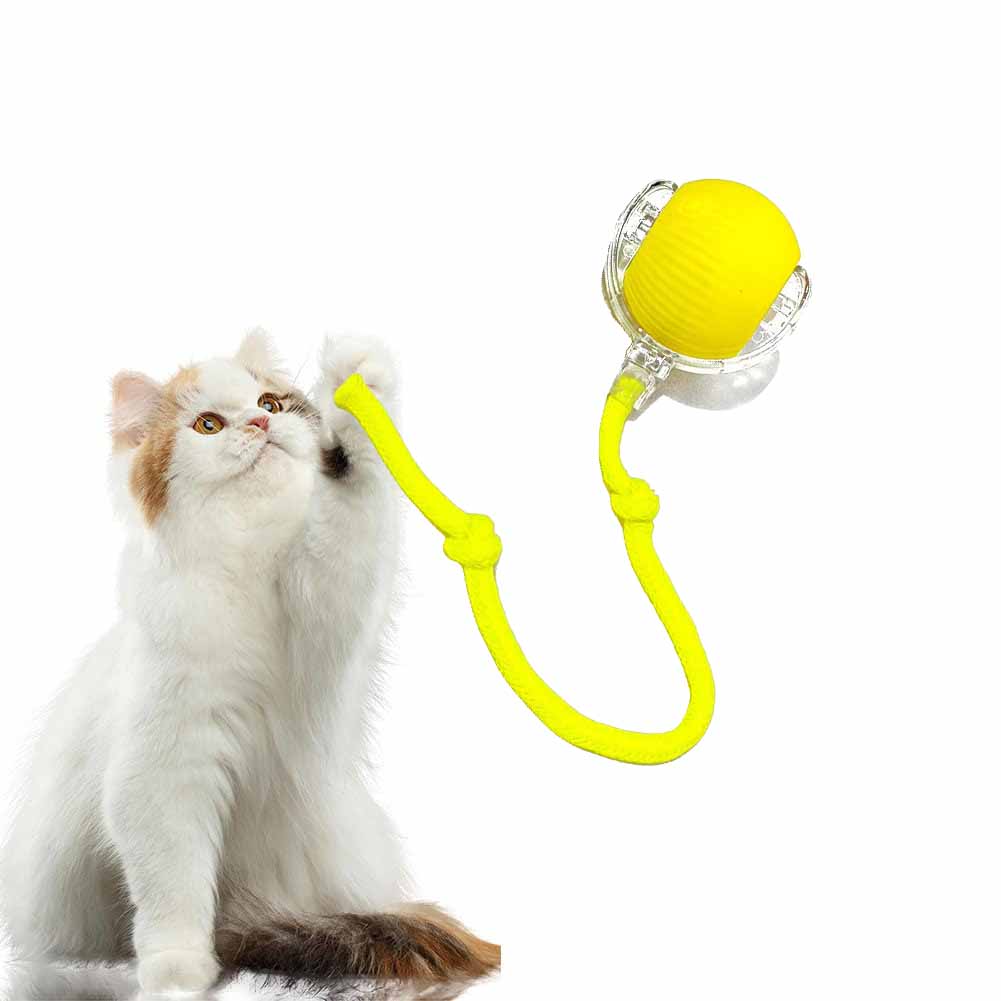 2024 Upgraded Motion Activate Rolling Pet Toys with Long Tail for Cats Kitty Dogs Rabbits