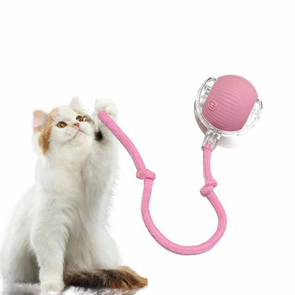 2024 Upgraded Motion Activate Rolling Pet Toys with Long Tail for Cats Kitty Dogs Rabbits