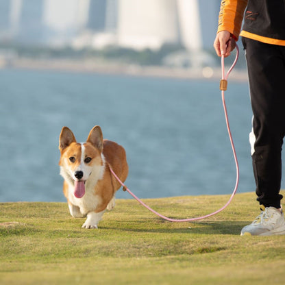 Slip Lead Dog Leash, Durable Nylon Dog Leash Heavy Duty for Large, Medium & Small Dogs Training