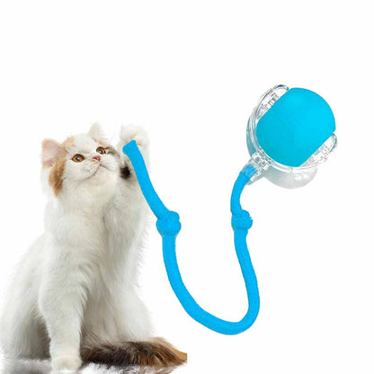 2024 Upgraded Motion Activate Rolling Pet Toys with Long Tail for Cats Kitty Dogs Rabbits