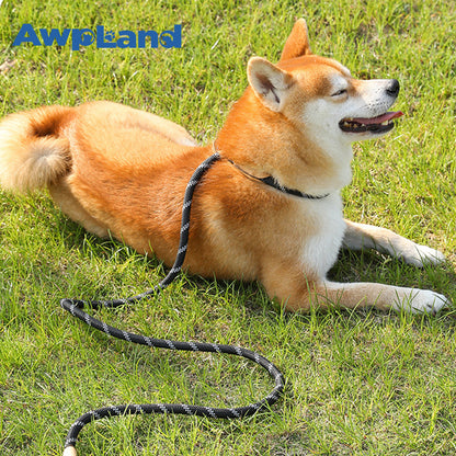 Durable Nylon Slip Lead Dog Leash with Snap Hook for Small Medium Large Dogs