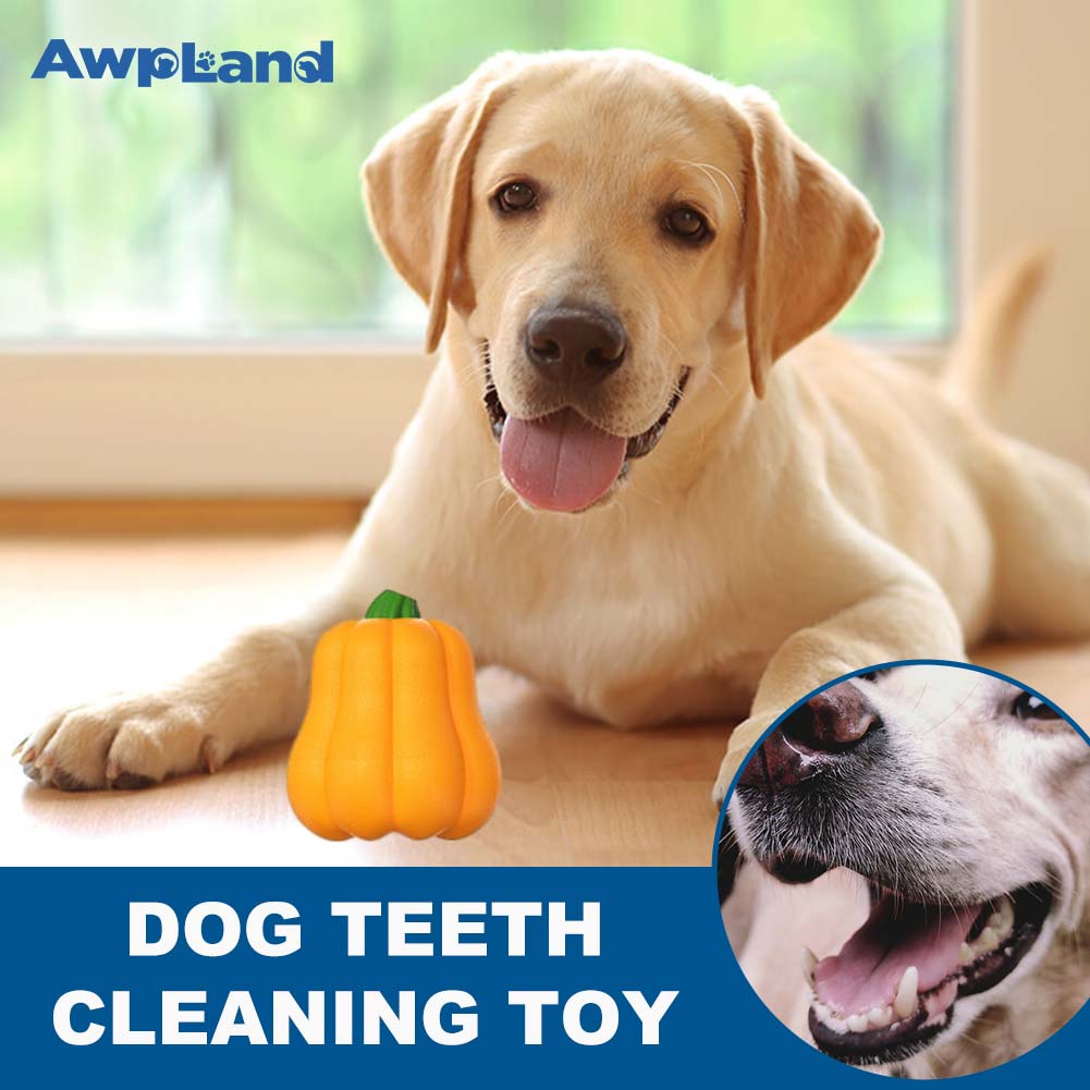 Pumpkin Dog Chew Toys for Aggressive Chewers for Small Medium Large Dogs