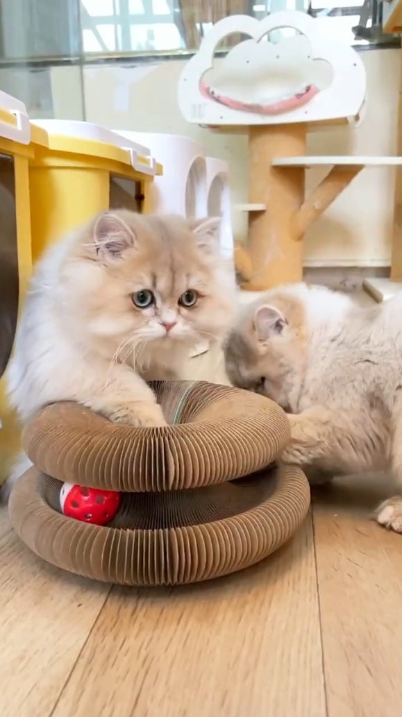 Endless Playtime