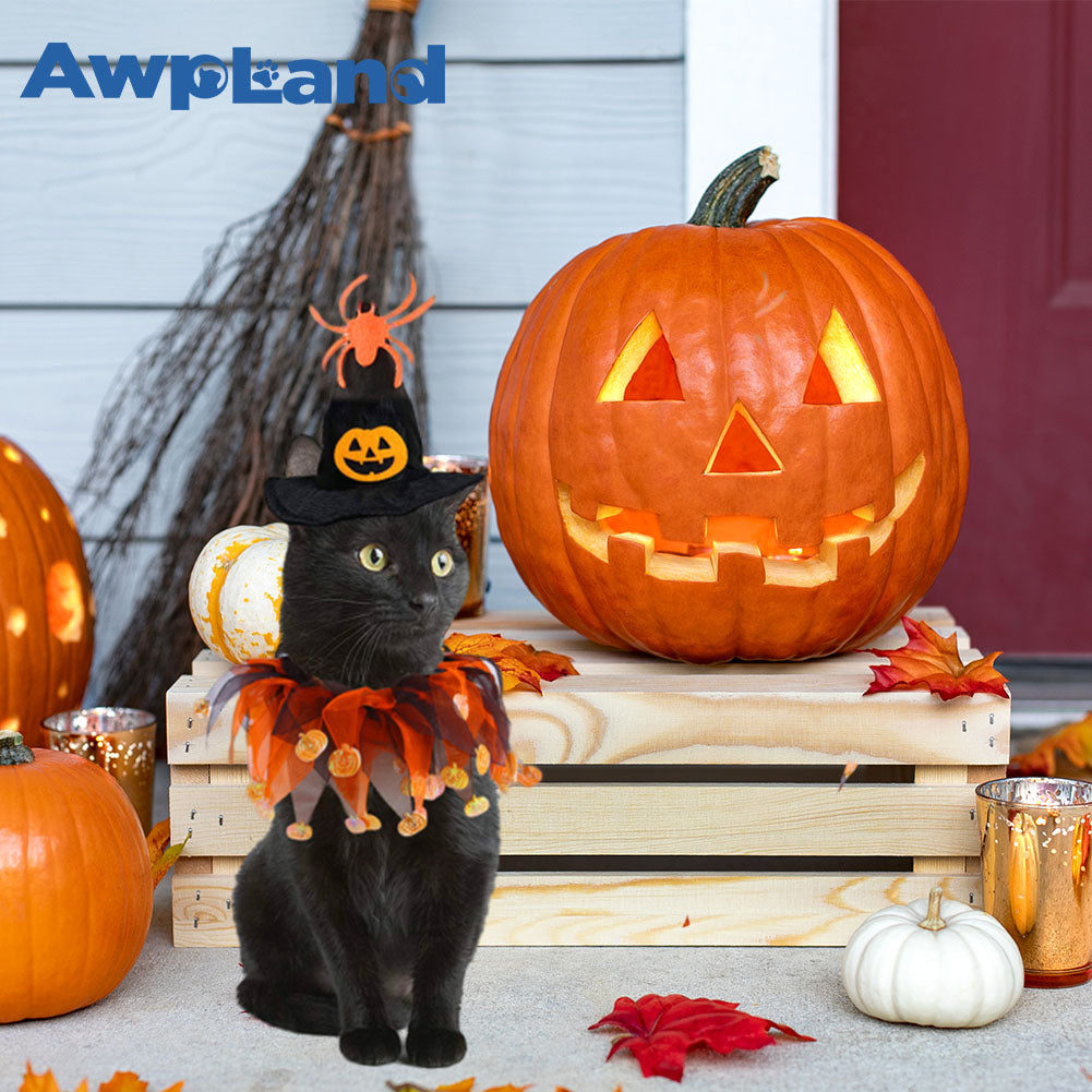 El conjunto de disfraz de gato para Halloween incluye una bufanda de gato con temática de calabaza y un sombrero de bruja 