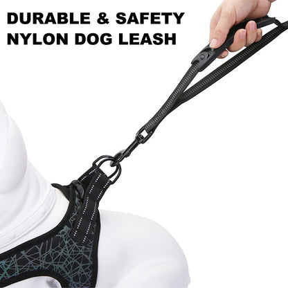 Strong Bungee Shock Absorbing Dog Leash  for Small Medium and Large Dogs Training and Walking