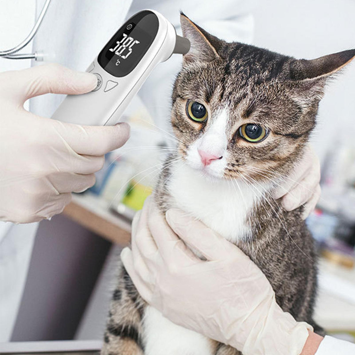 Pet Thermometer for Dogs & Cats – Non-Contact Infrared Ear Thermometer for Fast Temperature Checks