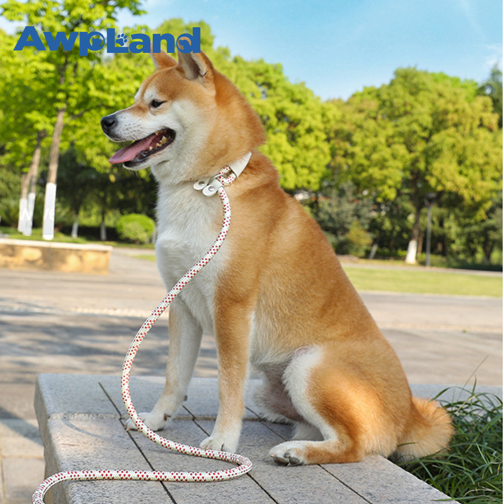 Durable Nylon Slip Lead Dog Leash with Snap Hook for Small Medium Large Dogs