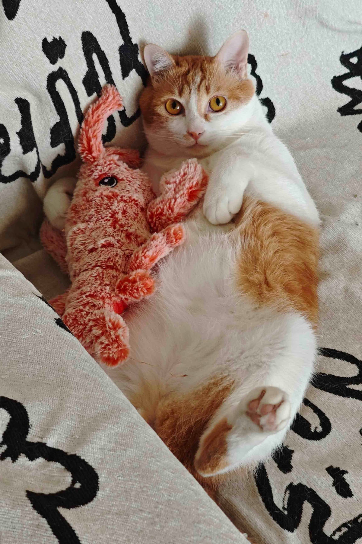 Wake up, Lobster!