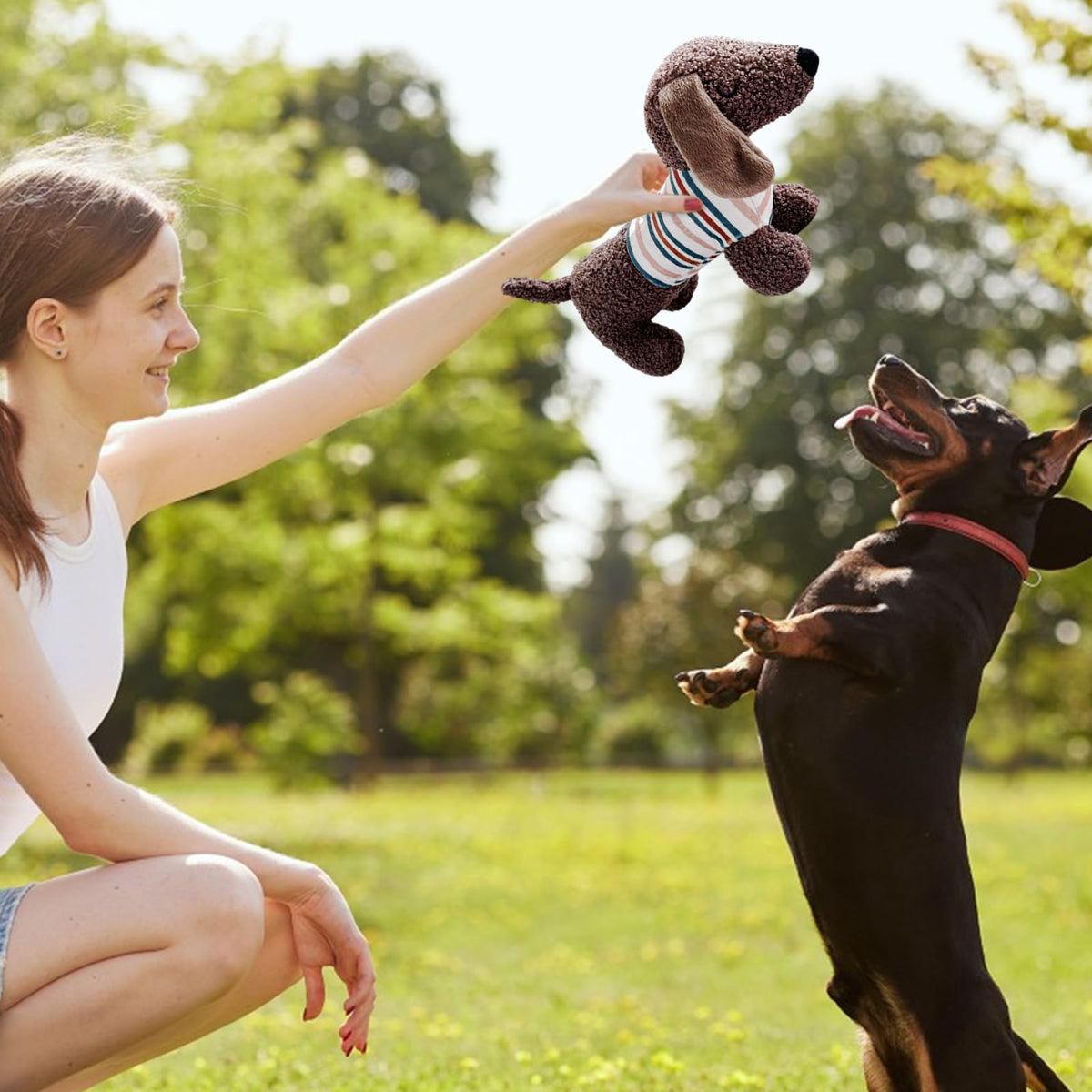 Dachshund Plush Squeaky Dog Toy