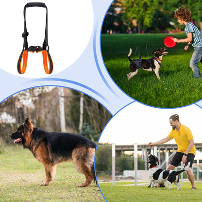 Dog Rear Leg Support Harness – Adjustable Hind Leg Mobility Sling for Dogs