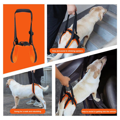 Dog Rear Leg Support Harness – Adjustable Hind Leg Mobility Sling for Dogs