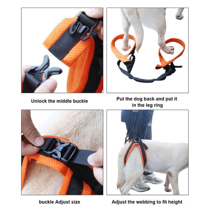 Dog Rear Leg Support Harness – Adjustable Hind Leg Mobility Sling for Dogs