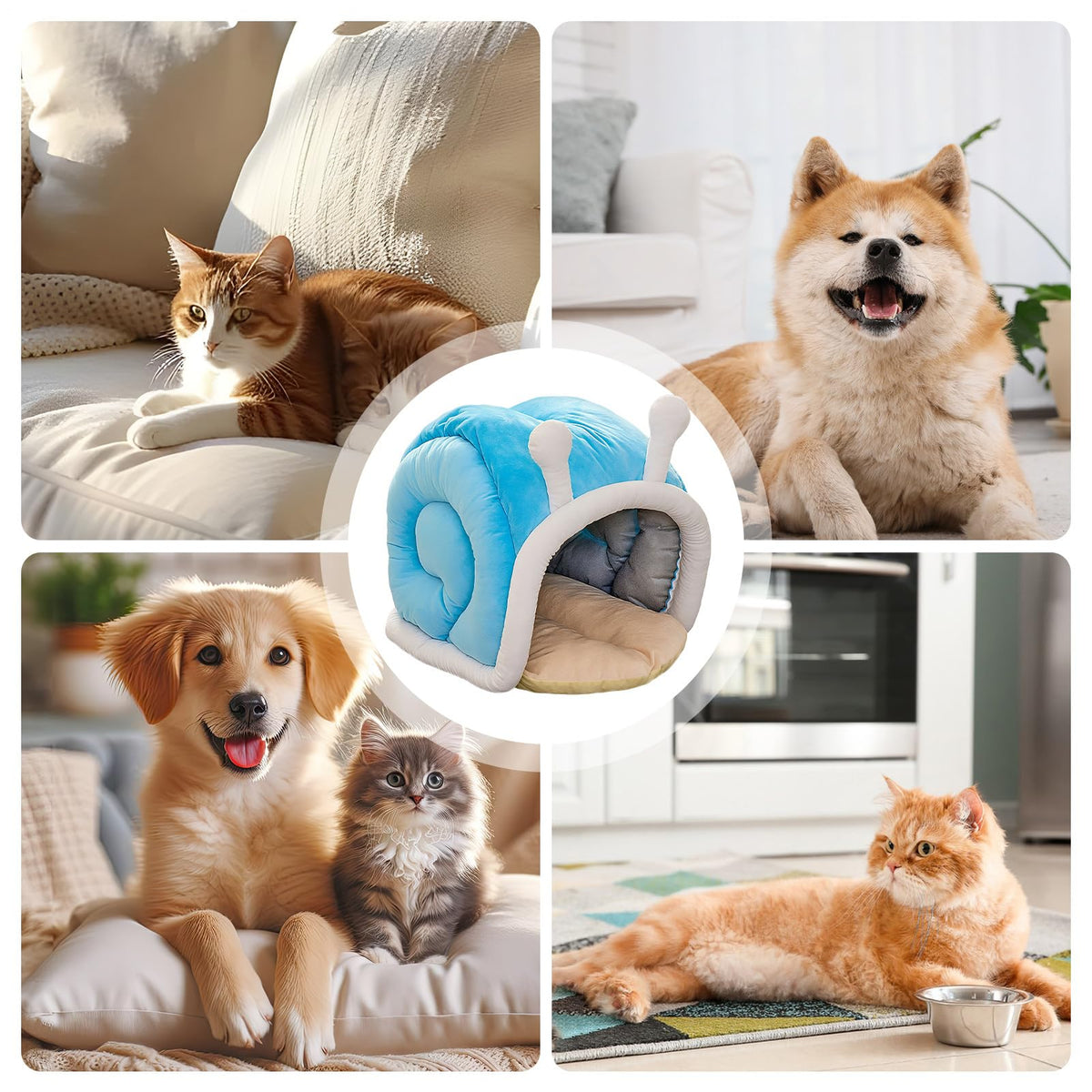 Snail Shaped Pet Bed for Cats and Small Dogs