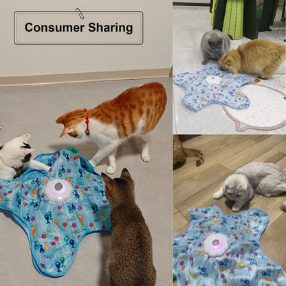 Interactive Cat Toy for Indoor Cats – Automatic Hide and Seek Cat Toy with Moving Feather