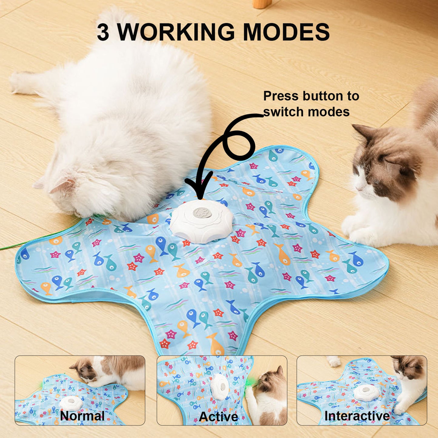 Interactive Cat Toy for Indoor Cats – Automatic Hide and Seek Cat Toy with Moving Feather