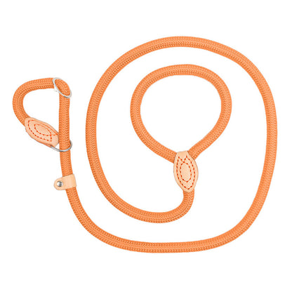 Slip Lead Dog Leash, Durable Nylon Dog Leash Heavy Duty for Large, Medium & Small Dogs Training