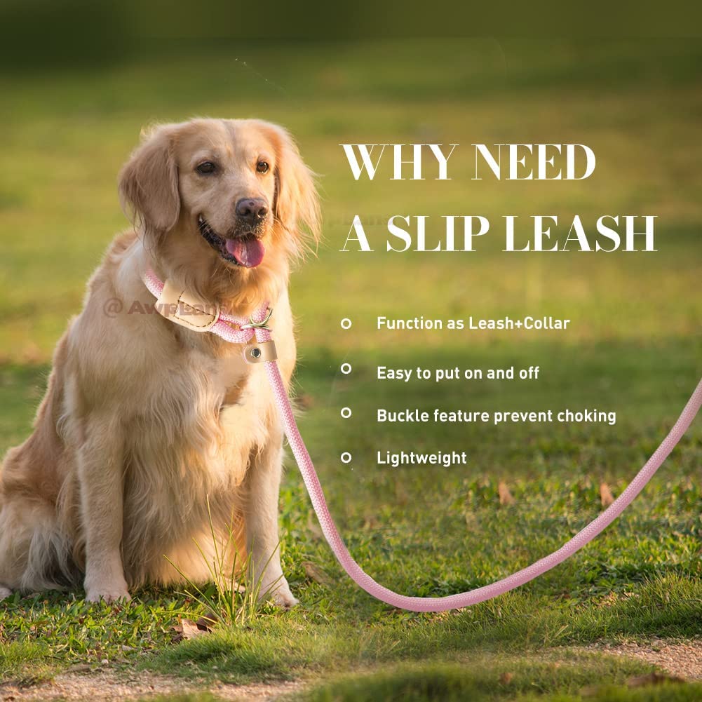 5.5FT Strong Nylon Dog Leash with Comfortable Handle for Large, Medium & Small Dogs