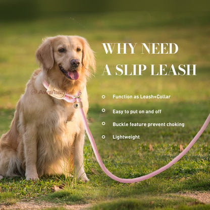 5.5FT Strong Nylon Dog Leash with Comfortable Handle for Large, Medium & Small Dogs